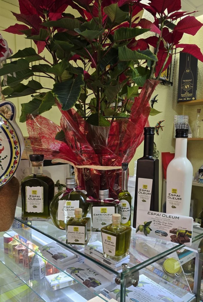 WhatsApp Image 2025-01-11 at 14.28.52