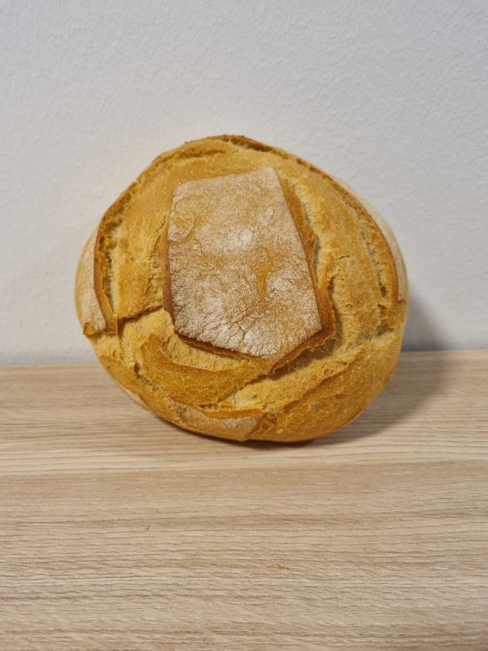 WhatsApp Image 2025-01-11 at 14.35.23 (1)